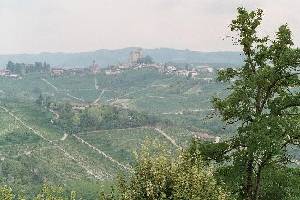 We are continually refining and adding to our portfolio of Nice Places to stay in Italy, so visit our site regularly to find somewhere just that little bit special. All our places to stay are presented with photos and descriptions taken and selected by us personally to give an impression as true to the reality as we can. All places are chosen by our team here in Italy for their combination of price, quality, charm and location. We work in partnership with family run hotels, guest houses and self-catering accommodations. This is NOT an unverified 'web portal' or online directory - we select only those places which we believe make excellent places to base a 1 week holiday or longer.